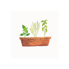 Load image into Gallery viewer, Herb Garden
