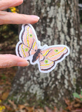 Load image into Gallery viewer, Autumn Moth Sticker
