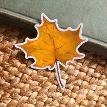Load image into Gallery viewer, Autumn Leaf
